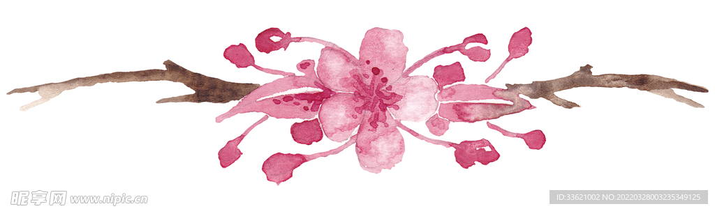 花卉  