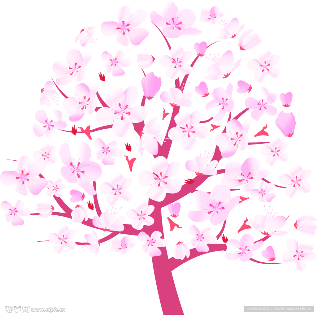 花卉  