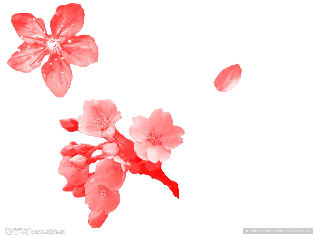 花卉  