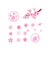 樱花  花瓣 粉色花 小清新 