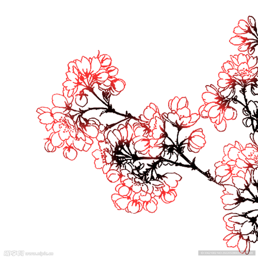 樱花  花瓣 粉色花 小清新 
