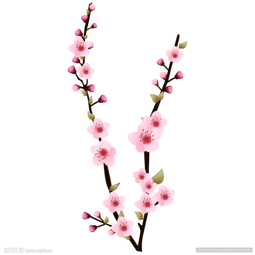 花卉  