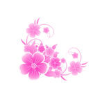 花卉 