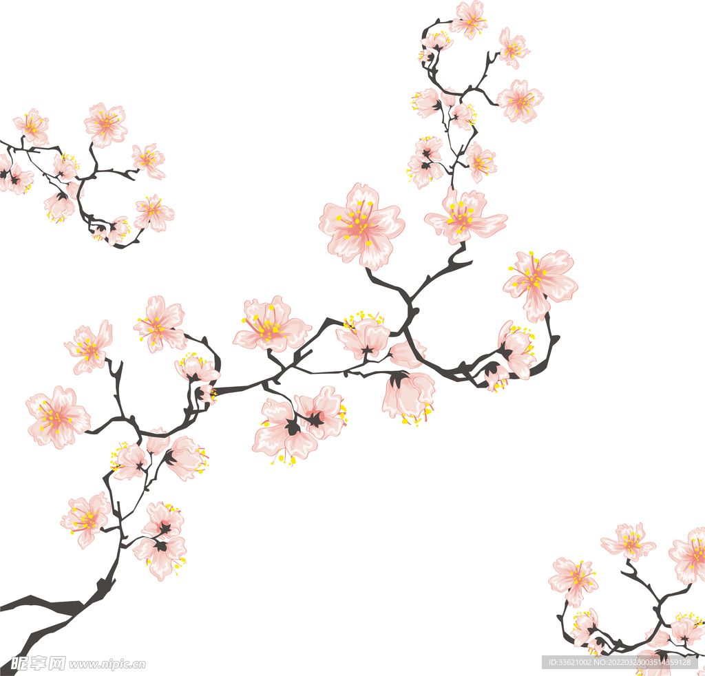 花卉 