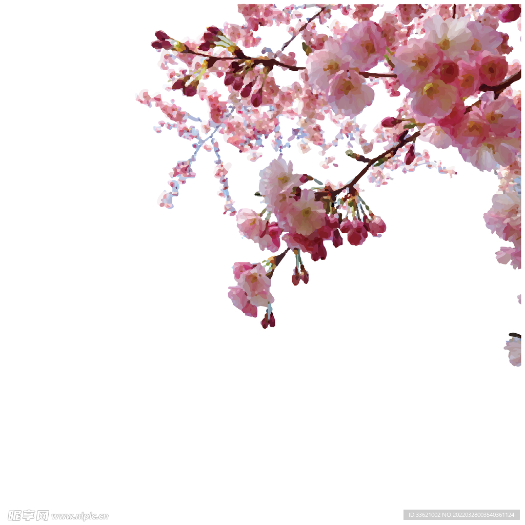 花卉 