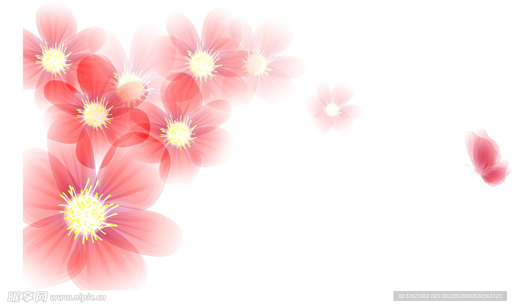 花卉  