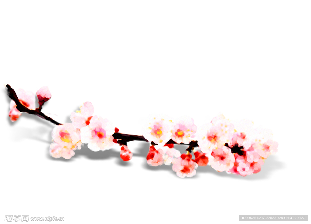 花卉 
