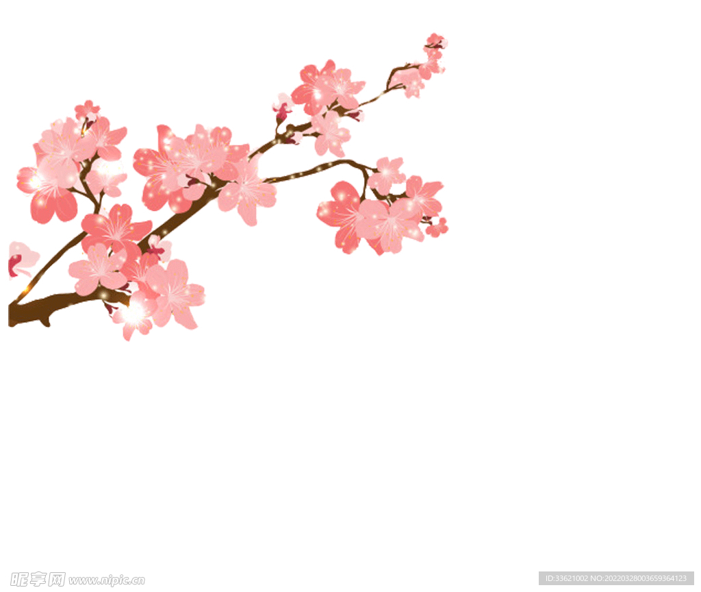 花卉  