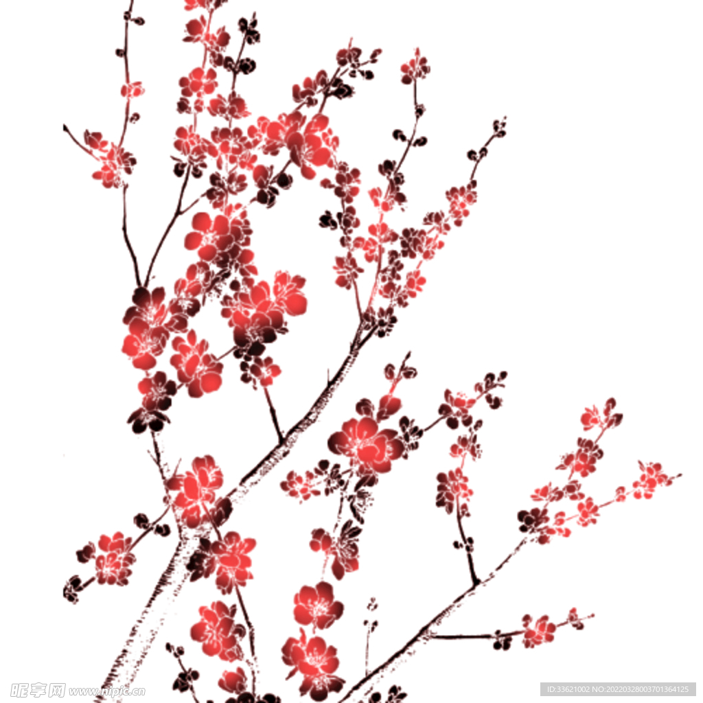 花卉  