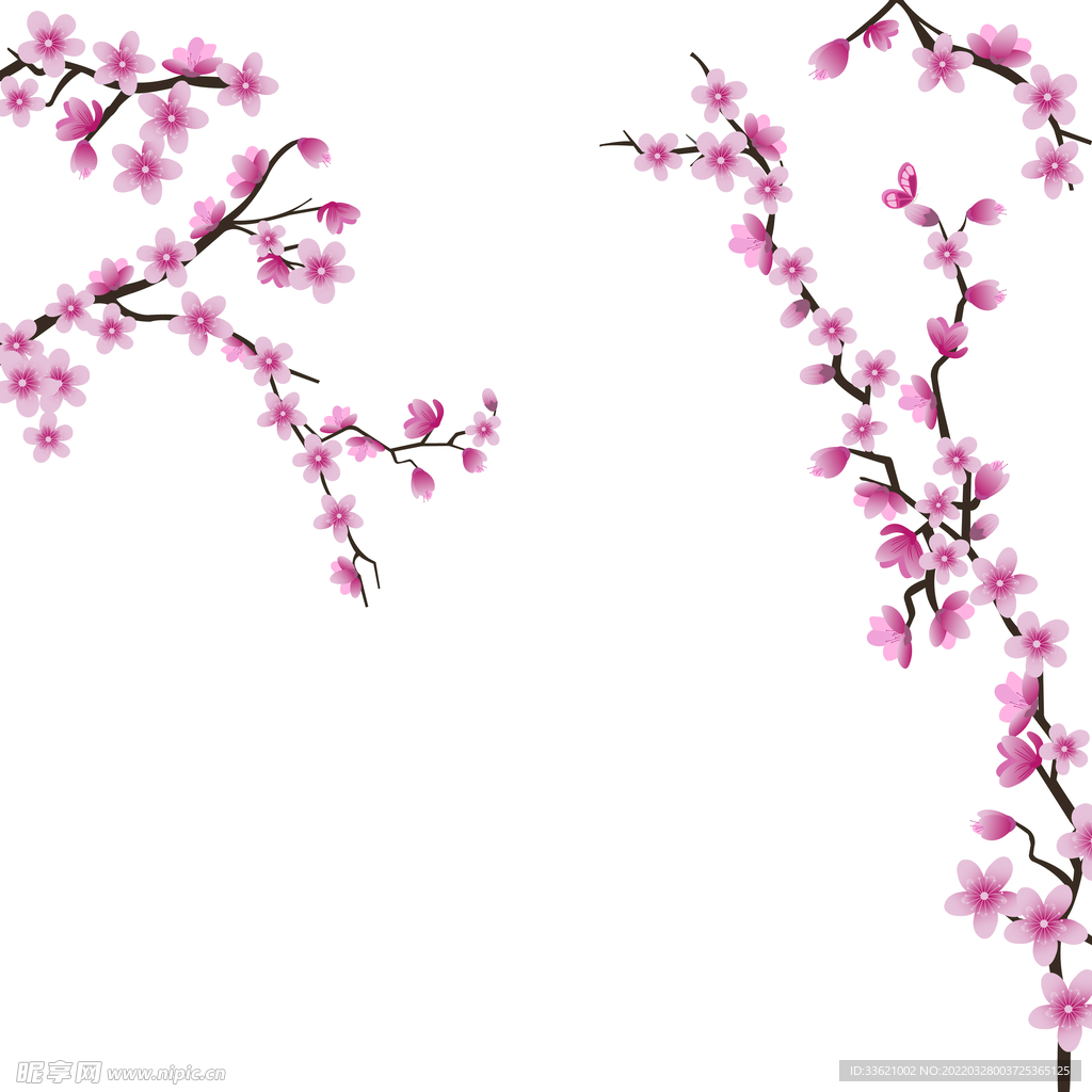 花卉  