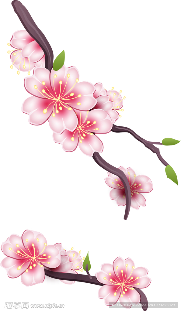 花卉 