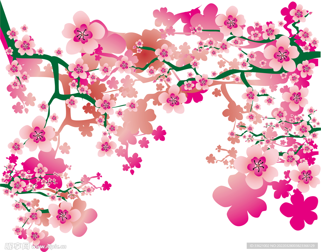 花卉  