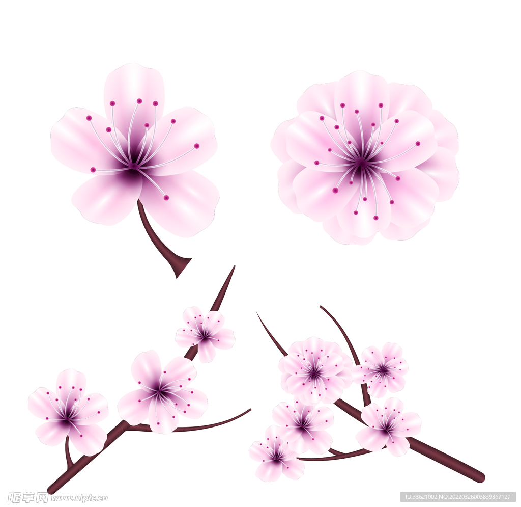 花卉  