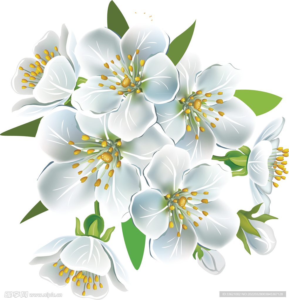 花卉  