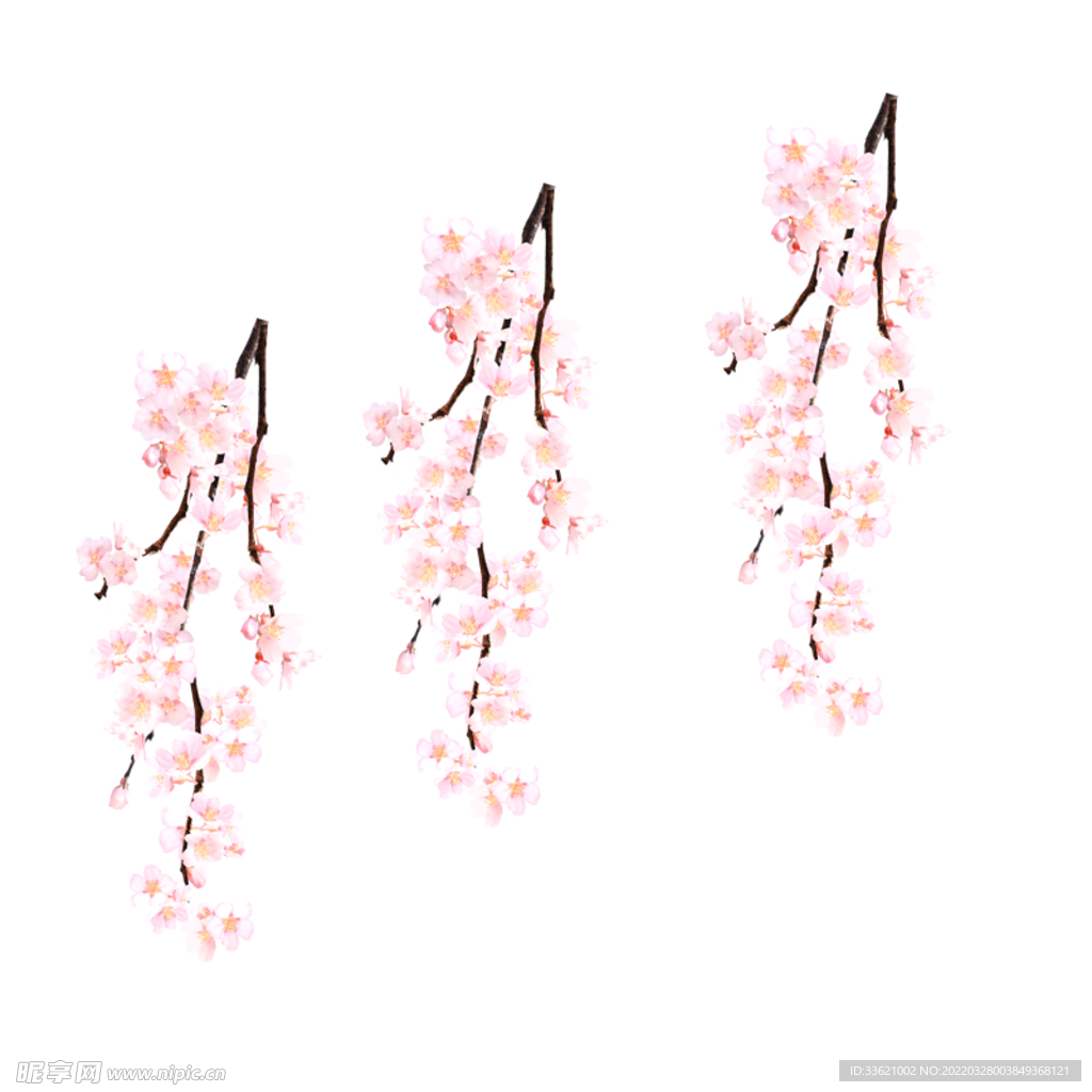 花卉  