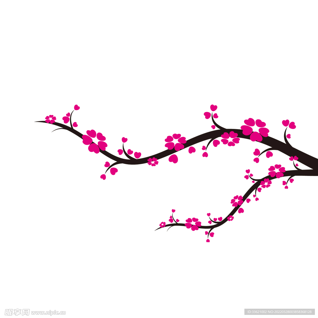 花卉 