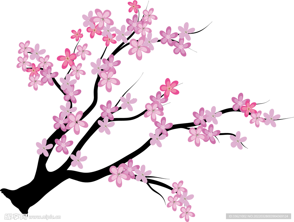 花卉  