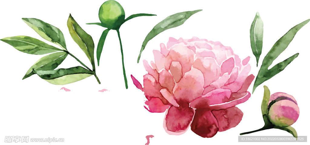 花卉  