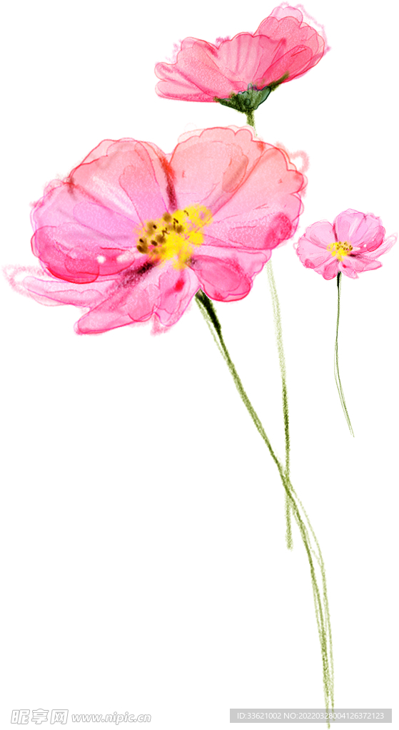 花卉  