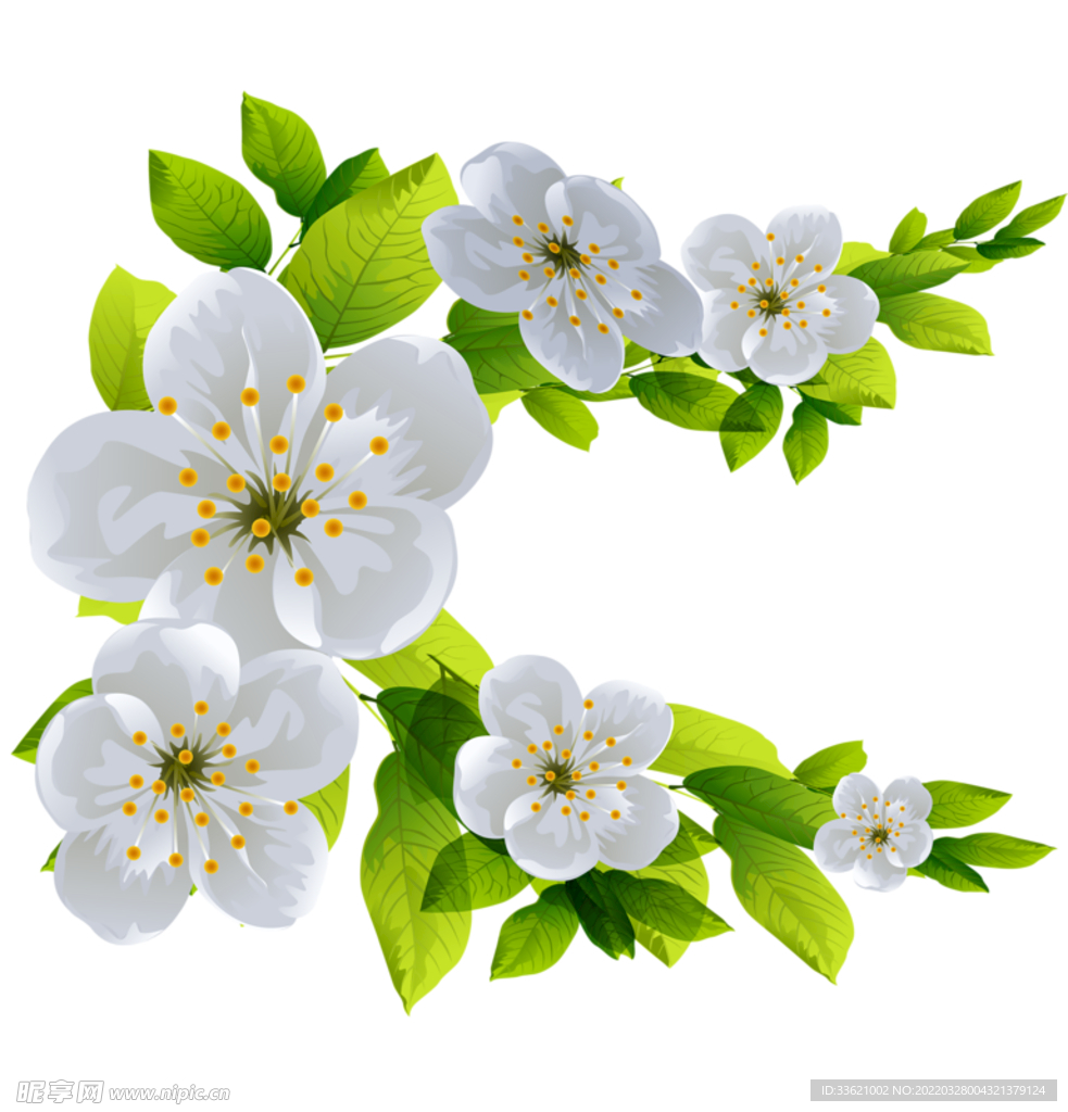 花卉 