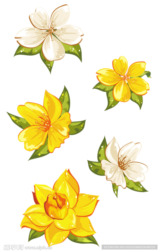 花卉  