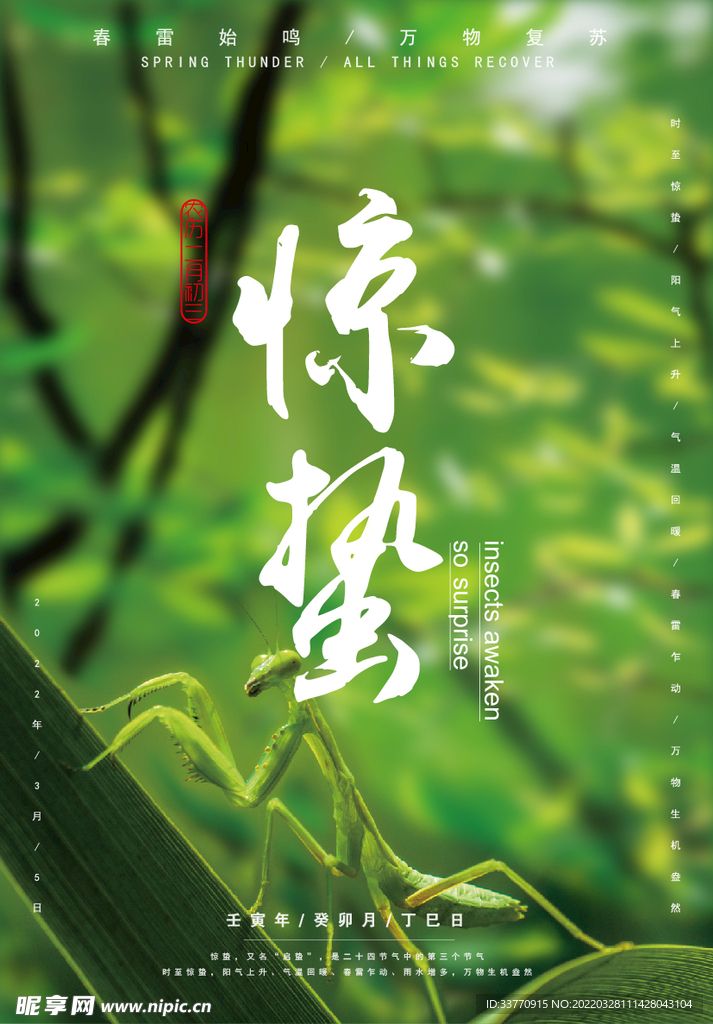 惊蛰   