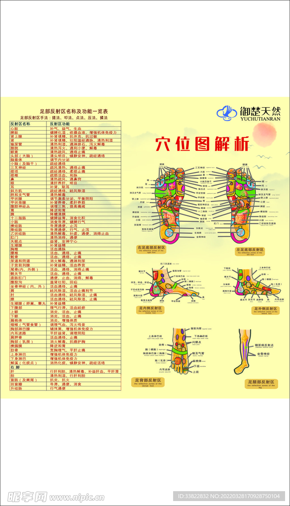 穴位图