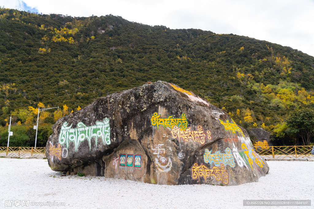 雅鲁藏布江大峡谷景区情比石坚石