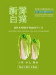 白菜海报