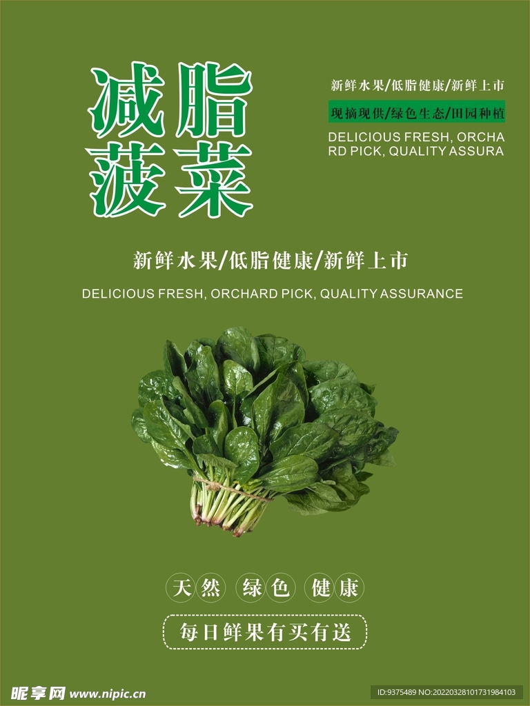 菠菜海报