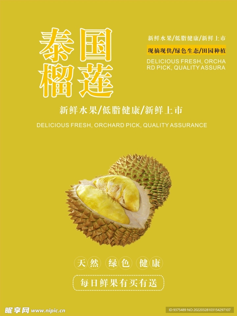 榴莲海报