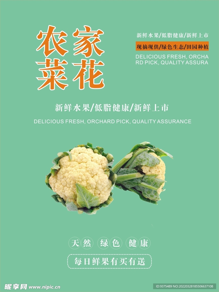 菜花海报