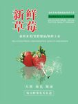草莓海报