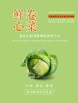 卷心菜海报