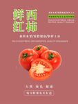 西红柿海报