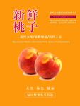 桃子海报
