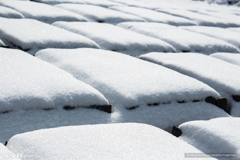 雪