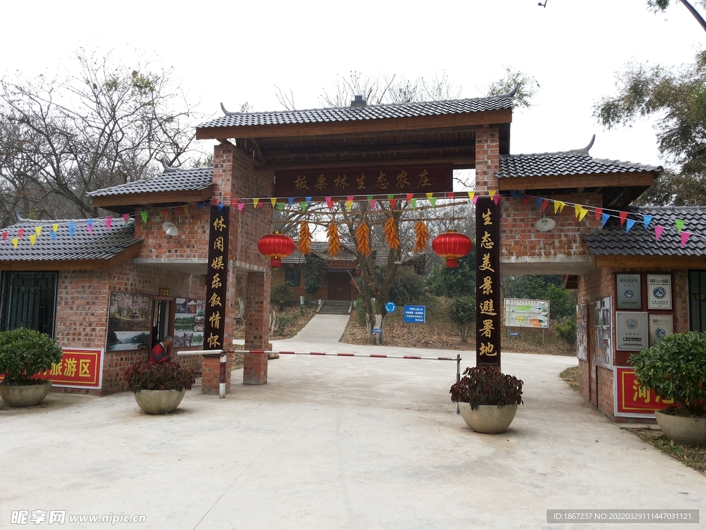 板栗林景区
