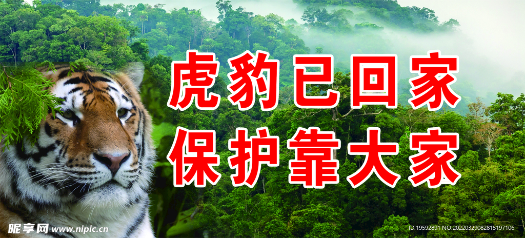 保护动物宣传