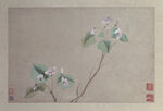 花鸟画 