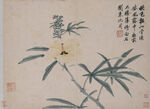 花鸟画 