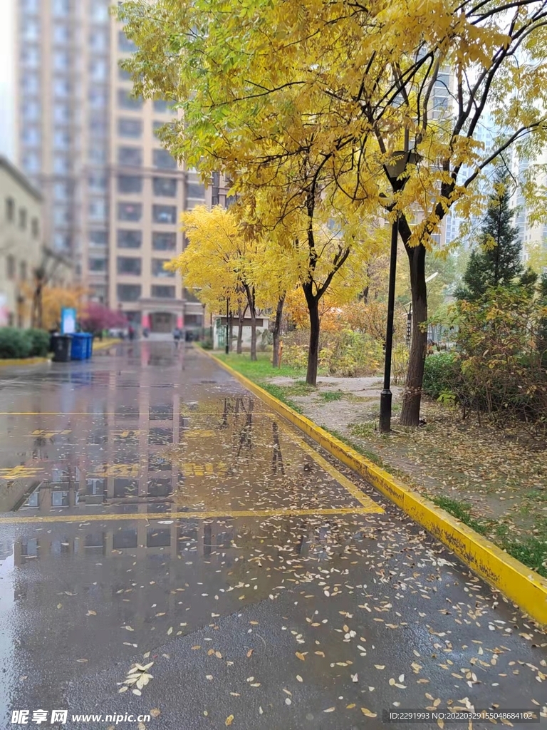 秋日雨后