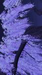 抽象 线条 底纹 素材 高端 