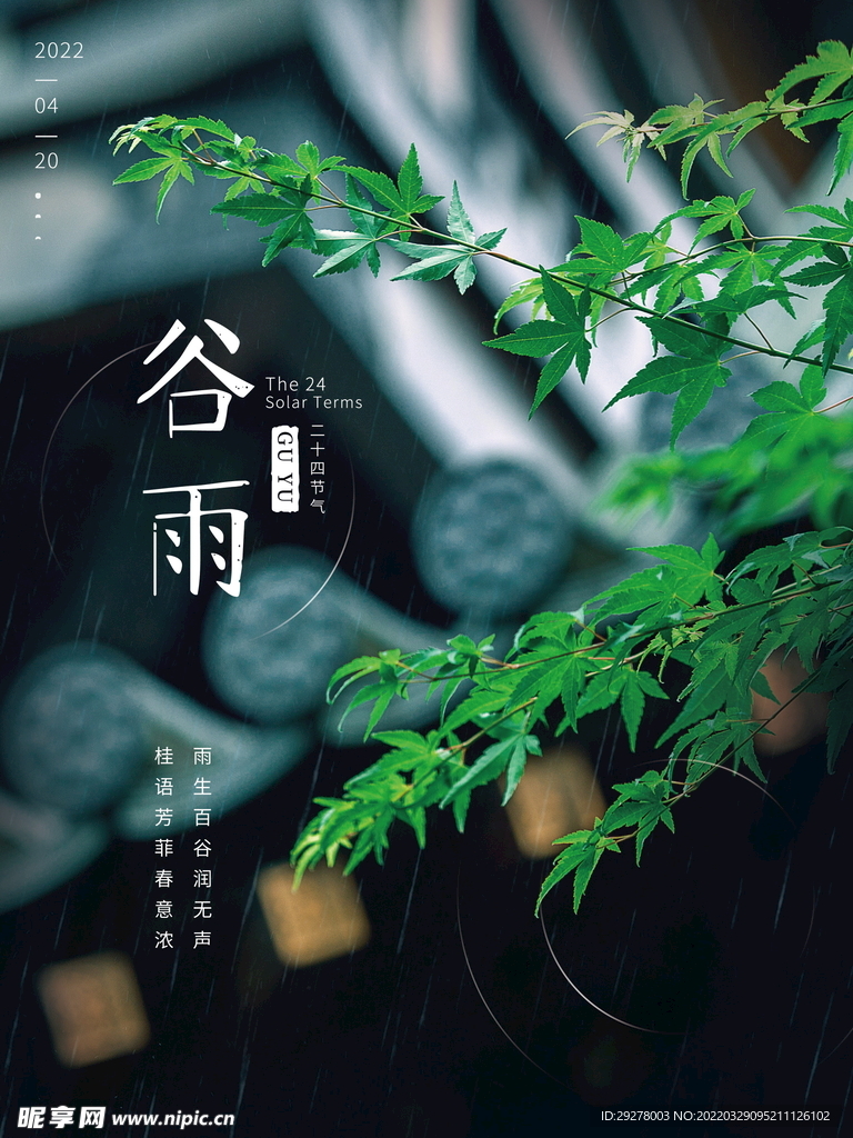 谷雨海报