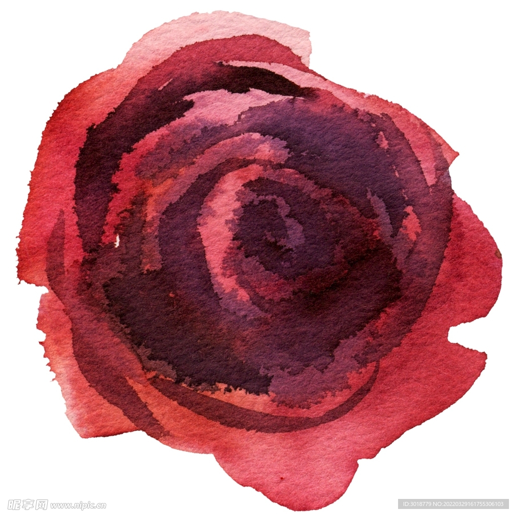 玫瑰花