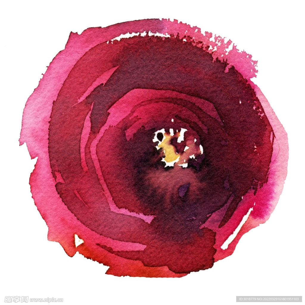 玫瑰花