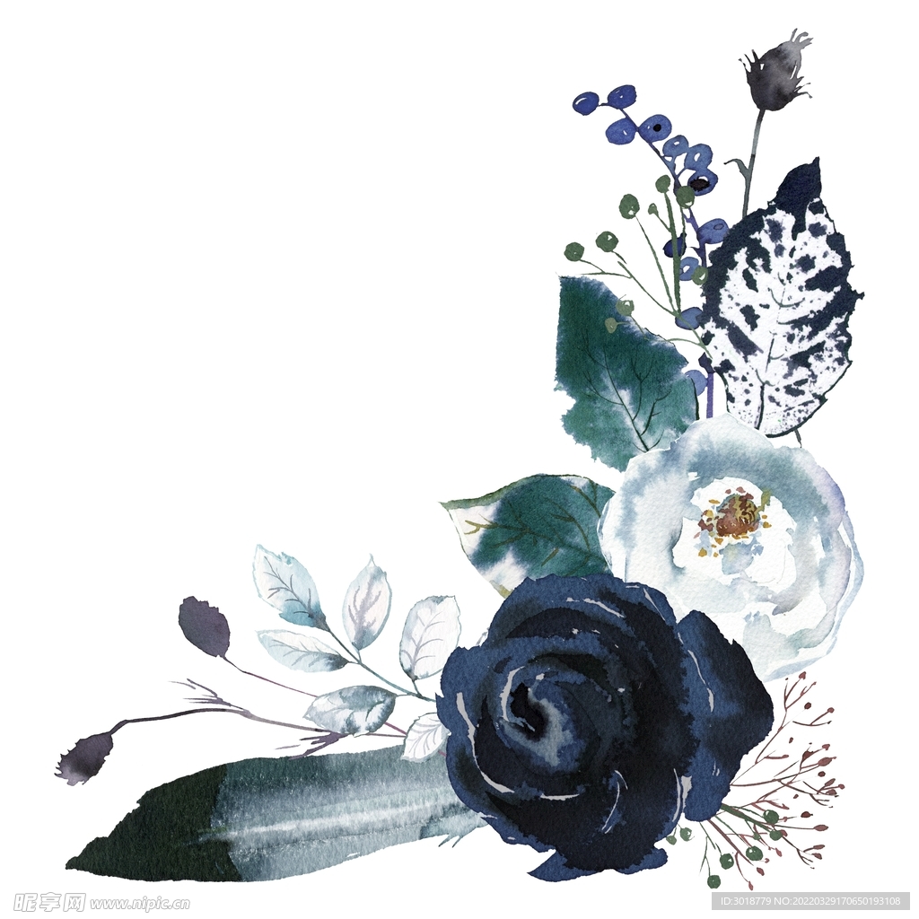 水彩花卉 
