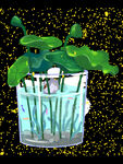 插画植物