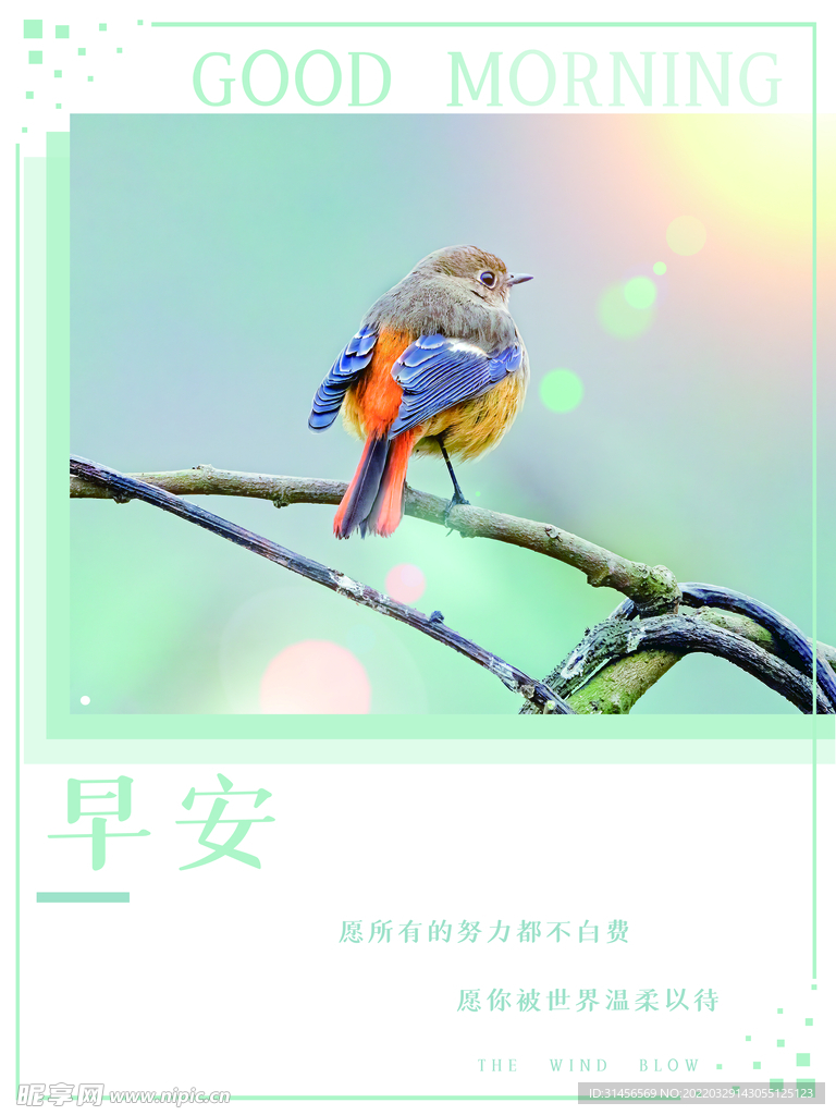 早安