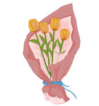 郁金香花束素材